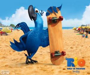 пазл Blu является ара весело и главный герой фильма Рио